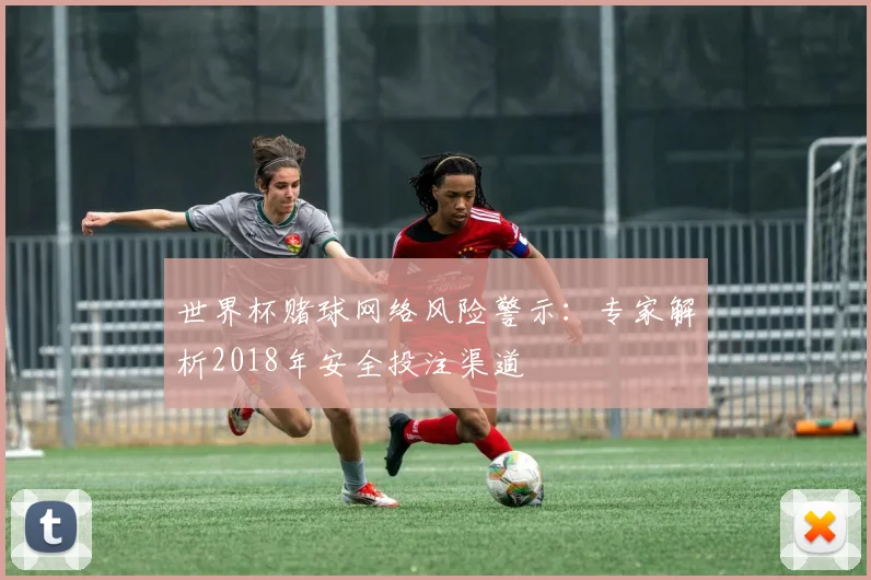 世界杯赌球网络风险警示:专家解析2018年安全投注渠道