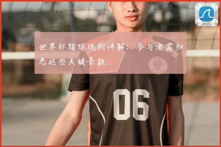 世界杯赌球规则详解:参与者需知悉这些关键条款